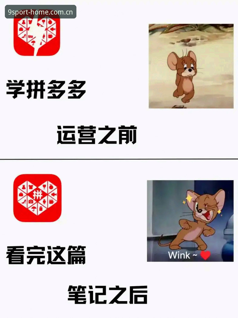 九体育手机版 九体育平台使用完整指南:从新手到高手的进阶之路